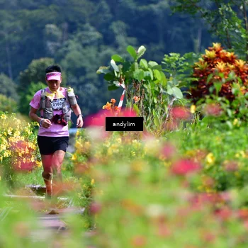 Runner Photo 5078280