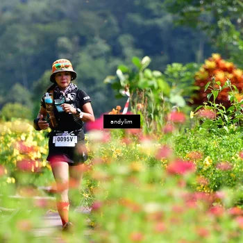 Runner Photo 5078290