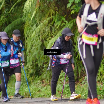Runner Photo 5078306