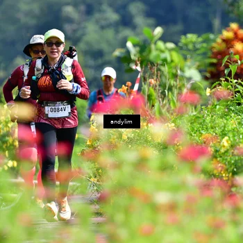 Runner Photo 5078318