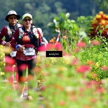 Runner Photo 5078322
