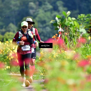 Runner Photo 5078324
