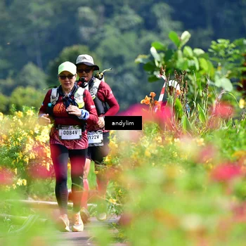 Runner Photo 5078327