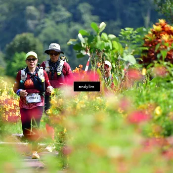 Runner Photo 5078328