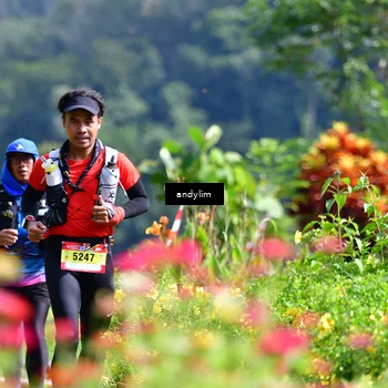 Runner Photo 5078359
