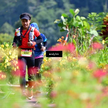 Runner Photo 5078373
