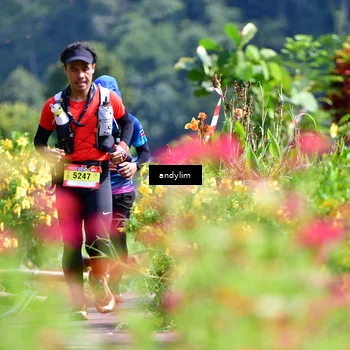 Runner Photo 5078375