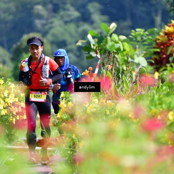 Runner Photo 5078382