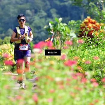 Runner Photo 5078399