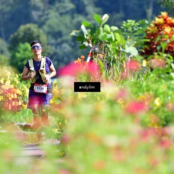 Runner Photo 5078411