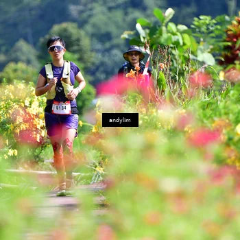 Runner Photo 5078414