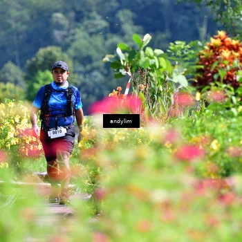 Runner Photo 5078425