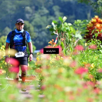 Runner Photo 5078434