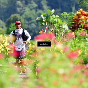 Runner Photo 5078456