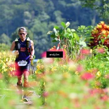 Runner Photo 5078463