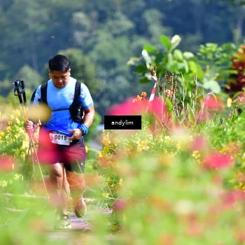 Runner Photo 5078484