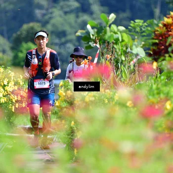 Runner Photo 5078524