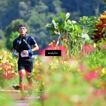 Runner Photo 5078542