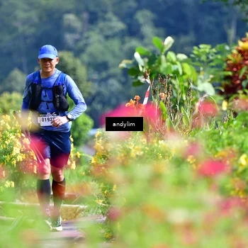 Runner Photo 5078556