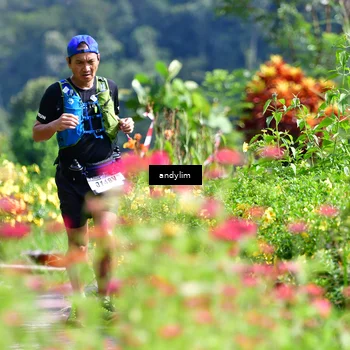 Runner Photo 5078558