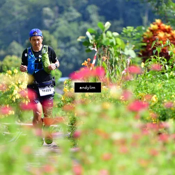 Runner Photo 5078563