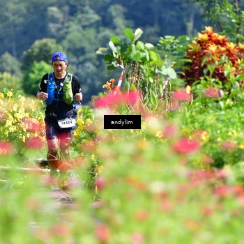 Runner Photo 5078570
