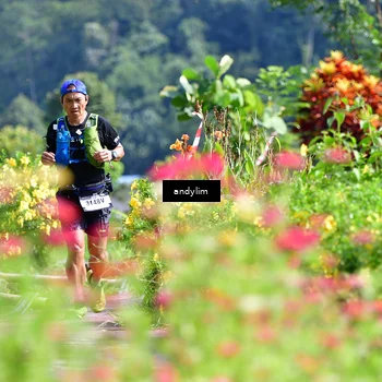 Runner Photo 5078578