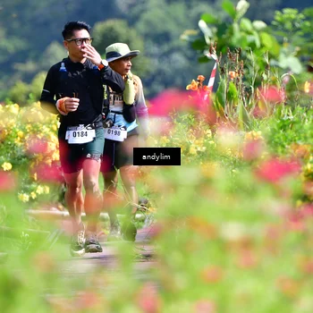 Runner Photo 5078609