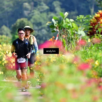 Runner Photo 5078616