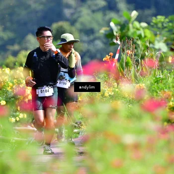 Runner Photo 5078622