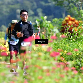 Runner Photo 5078632