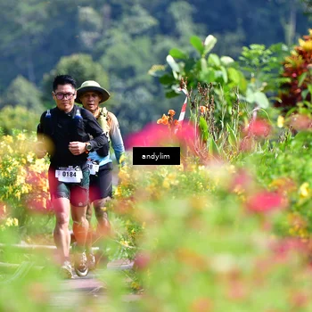 Runner Photo 5078635