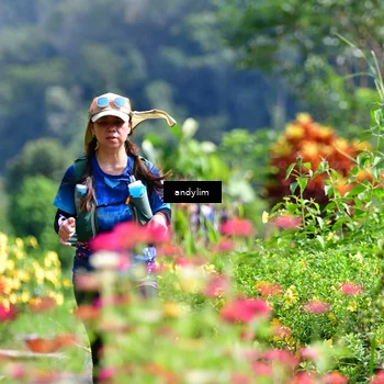 Runner Photo 5078685