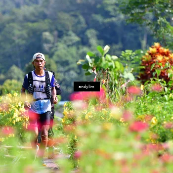 Runner Photo 5078694