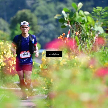 Runner Photo 5078742