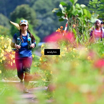 Runner Photo 5078743