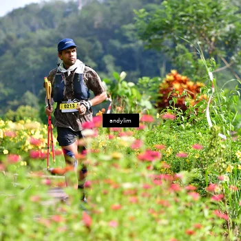 Runner Photo 5078764