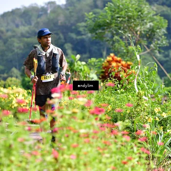 Runner Photo 5078766