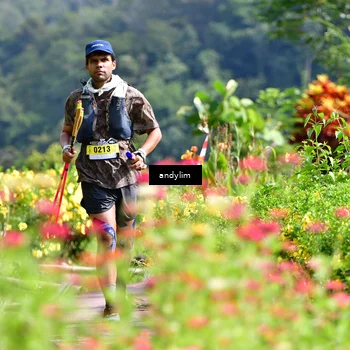 Runner Photo 5078770