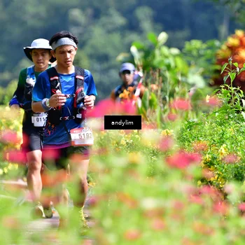 Runner Photo 5078817