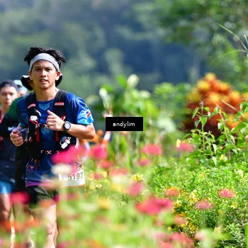 Runner Photo 5078818