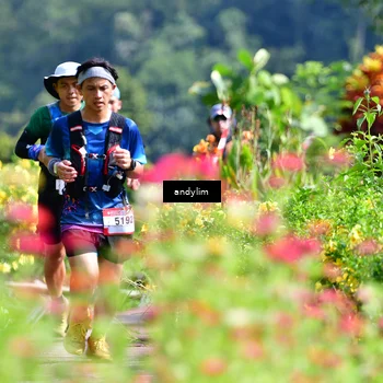Runner Photo 5078819