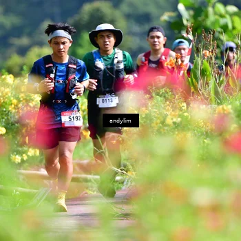 Runner Photo 5078822