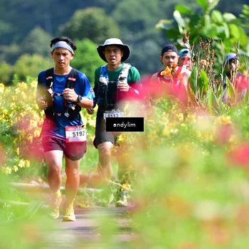 Runner Photo 5078823