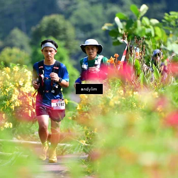 Runner Photo 5078824