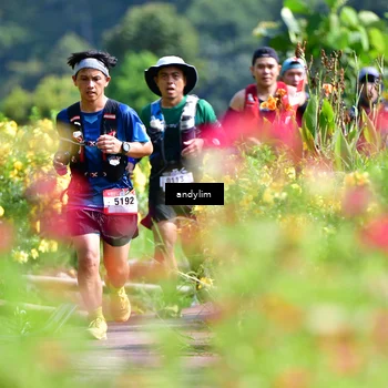 Runner Photo 5078825