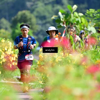 Runner Photo 5078826