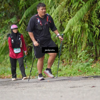 Runner Photo 5078848