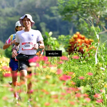 Runner Photo 5078873