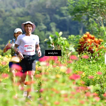 Runner Photo 5078887